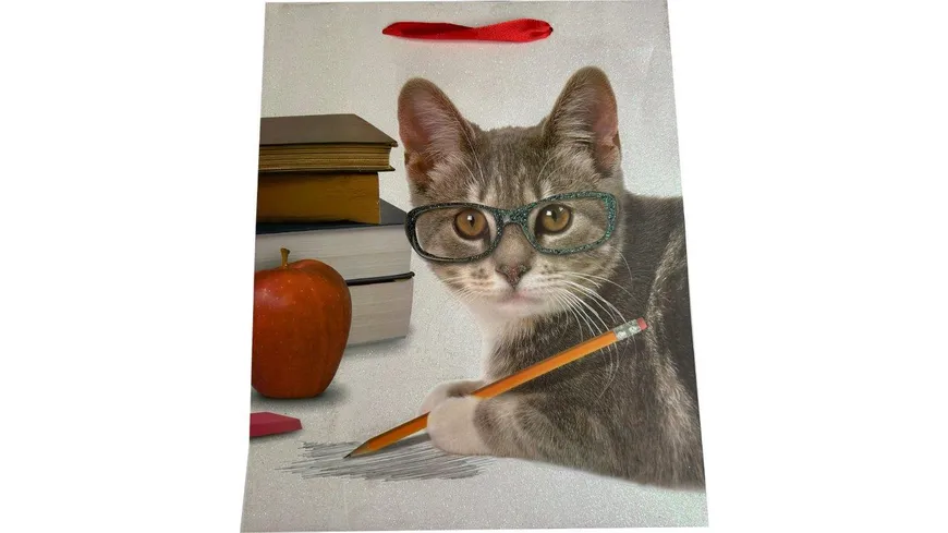 BOCK Geschenktüte mittel Katzen 23 x 18 x 10cm sortiert