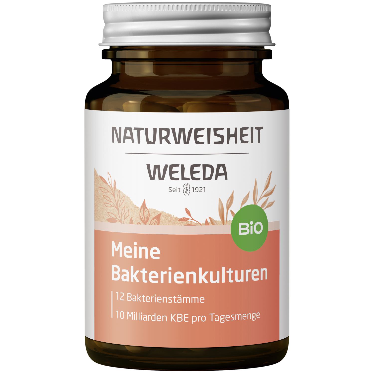 Naturweisheit Meine Bakterienkulturen
