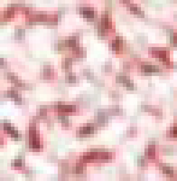 Stagecolor Cosmetics Lidschatten