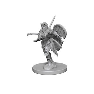 Human Female Paladin: Pathfinder Deep Cuts Unpainted Minis