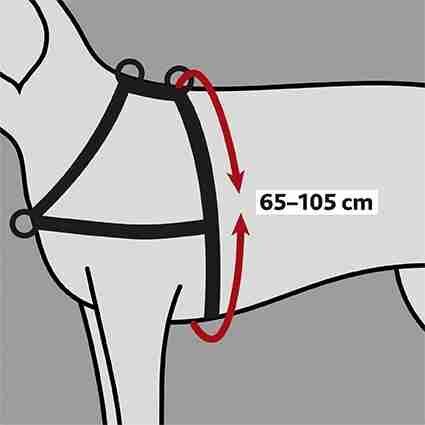 Trixie Hundeleinen Trixie Trainingsgeschirr Lead'n'Walk Soft