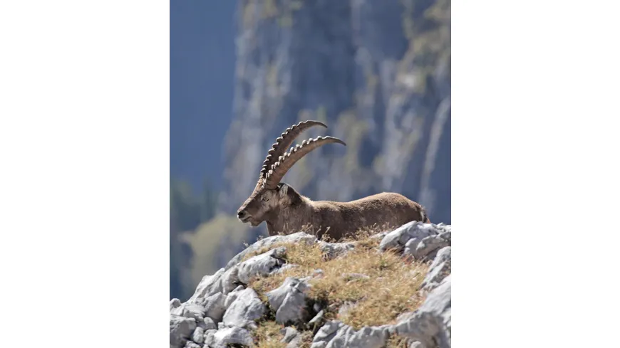 HEIMAT NATUR