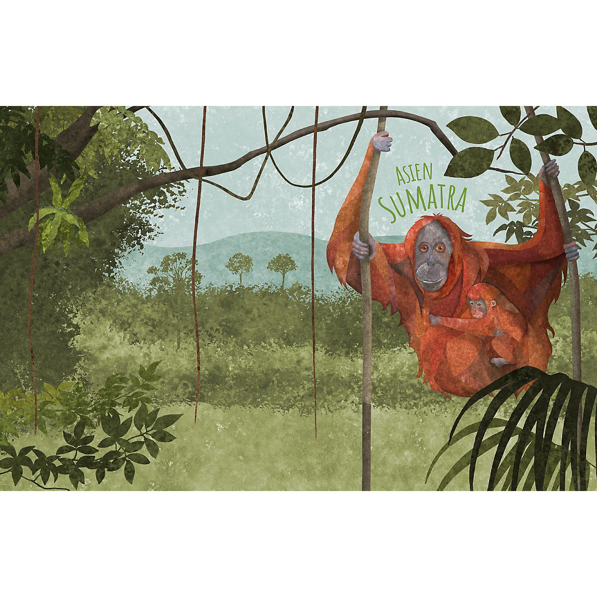 Biome der Welt