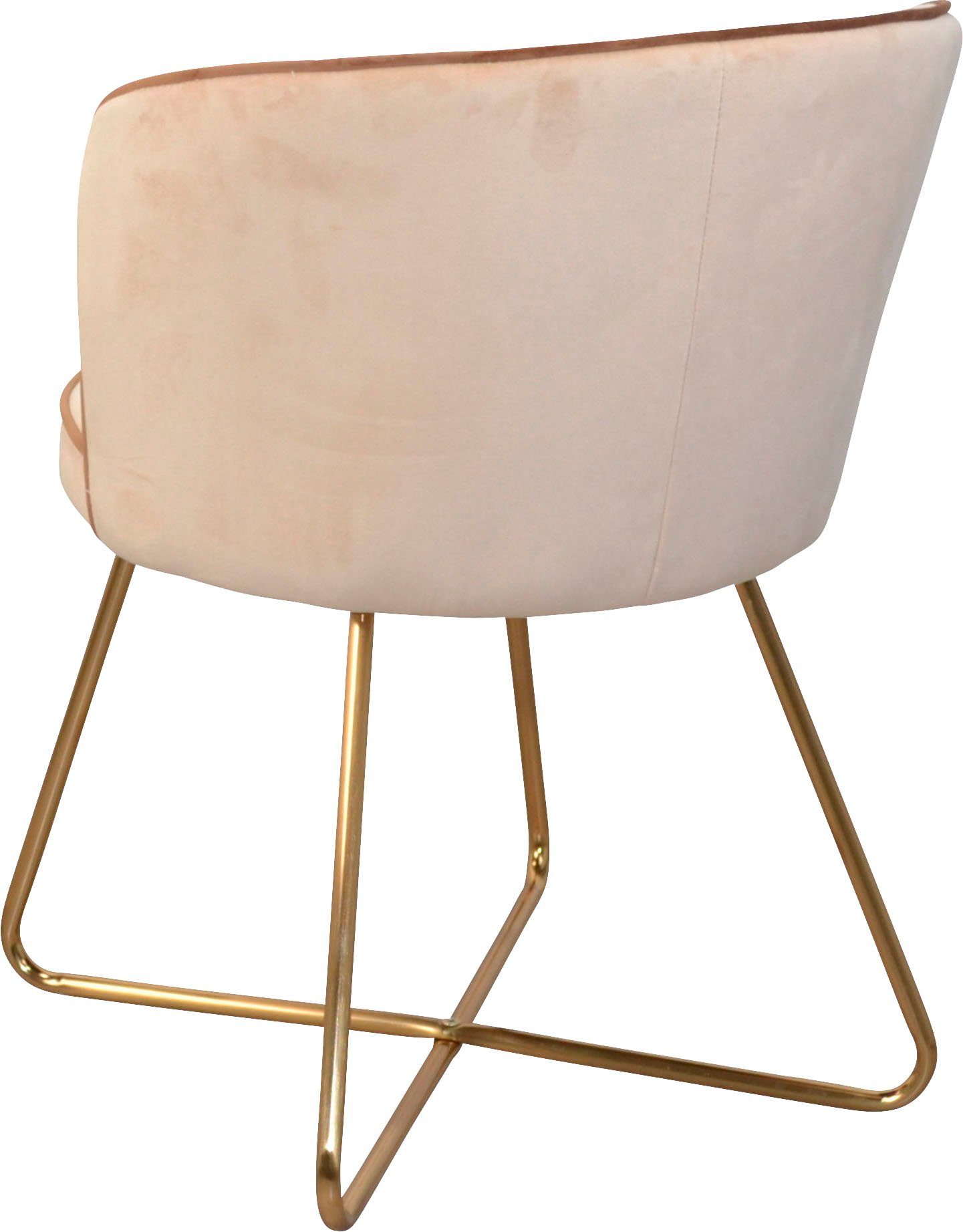 INOSIGN Polsterstuhl Liano (Set, 2 St), Polstersessel mit Gestell aus Stahlrohr, goldfarben, Samtbezug