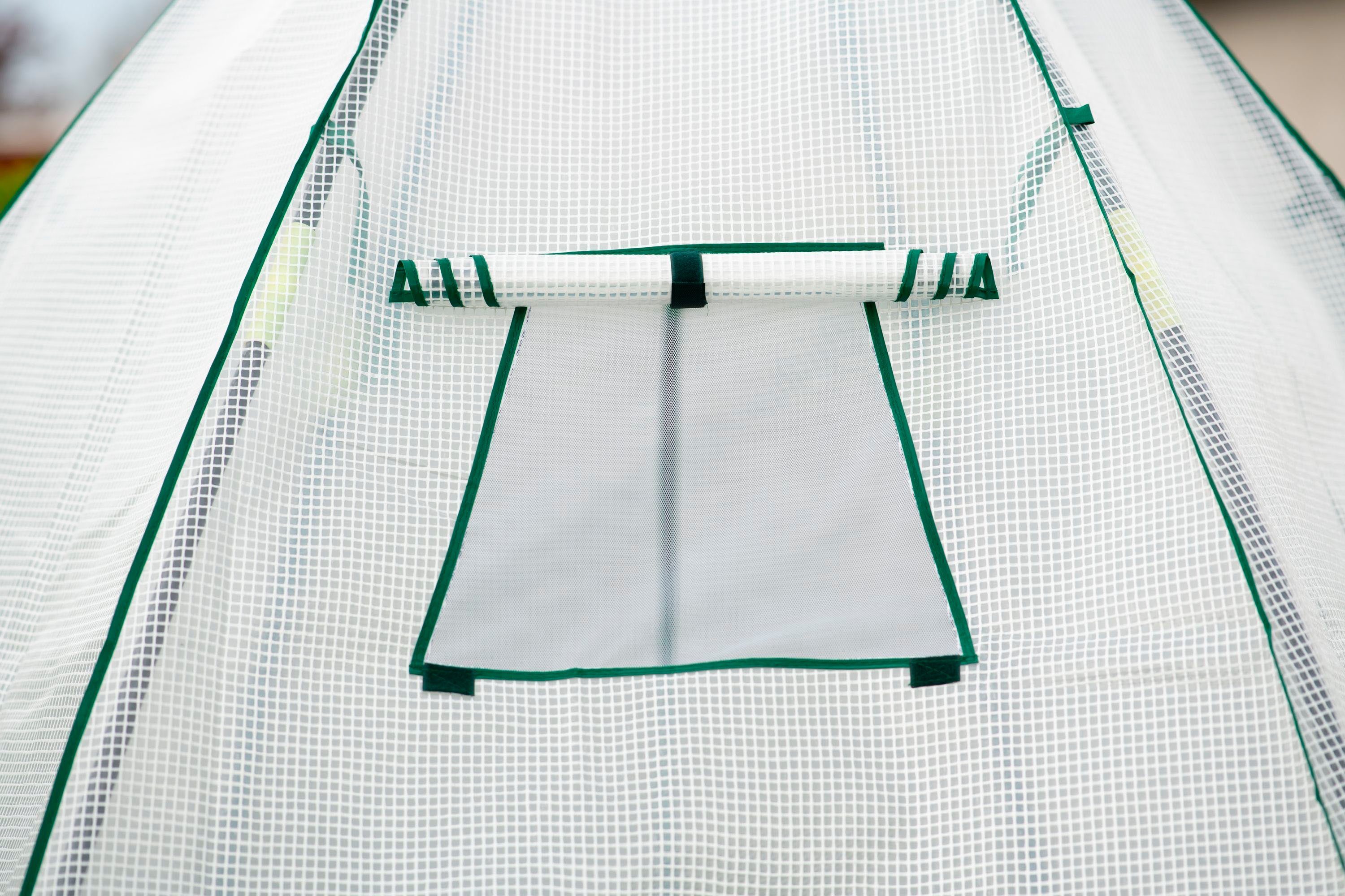 50NRTH Foliengewächshaus Avocado, BxTxH: 250 x 250 x 250 cm, Überwinterungszelt