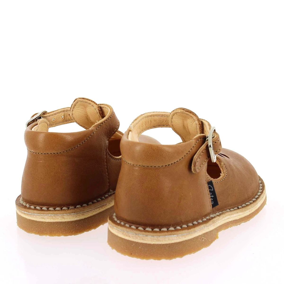 Aster  BIMBO 2 - Camel