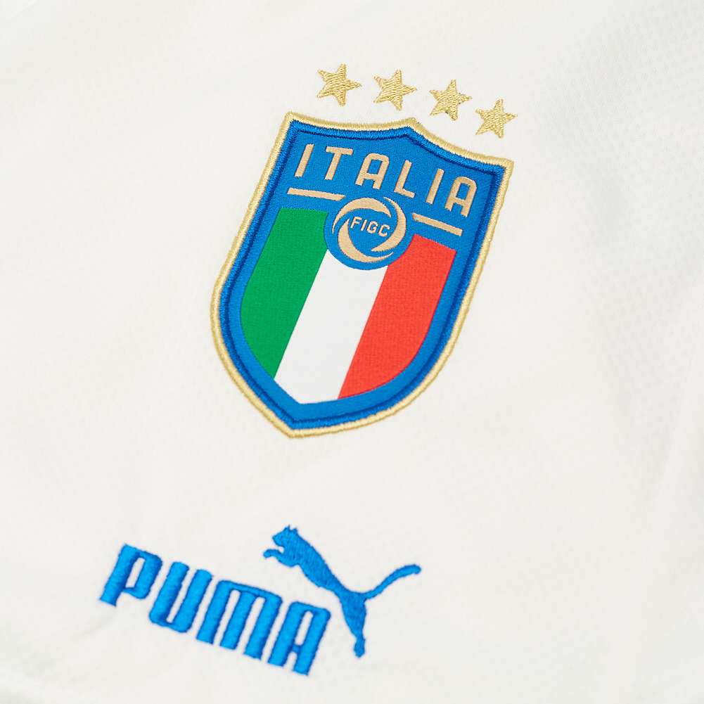 Italien FIGC PUMA Herren Shorts 765668-08
