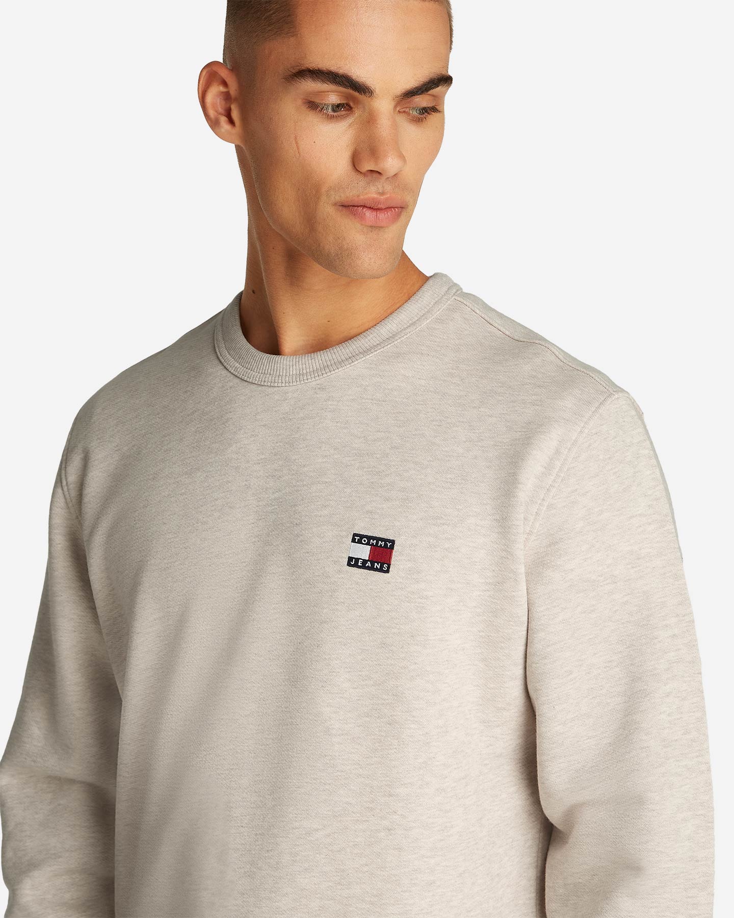 Felpa Tommy Hilfiger Regular Badge M DM0DM20660-AE3