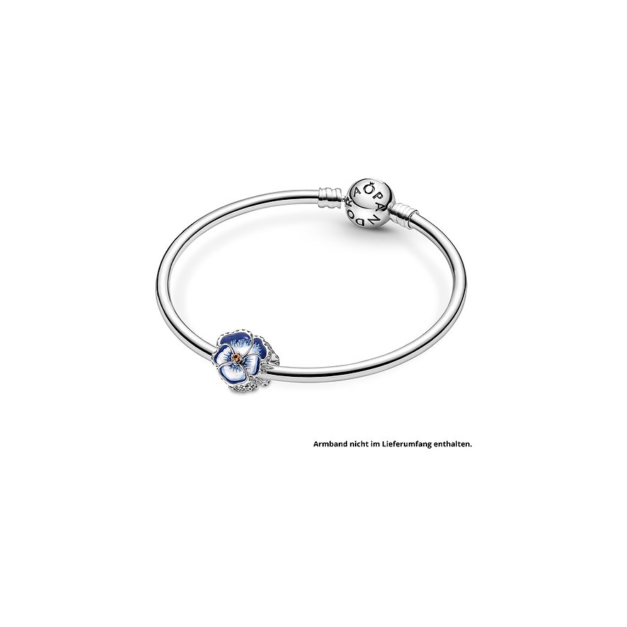 Pandora Charm Moments