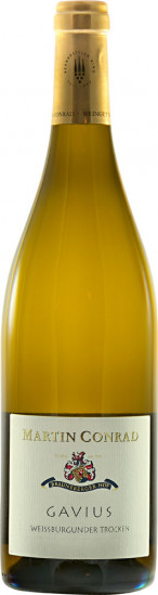 2020 GAVIUS Weißburgunder trocken - Weingut Martin Conrad