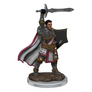 D&D Icons of the Realms Premium Miniatur vorbemalt Male Human Paladin