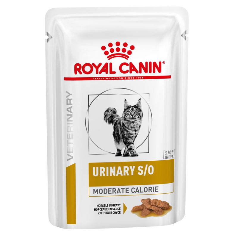 Royal Canin Veterinary Feline Mixpaket zu TOP-Preisen | bitiba %