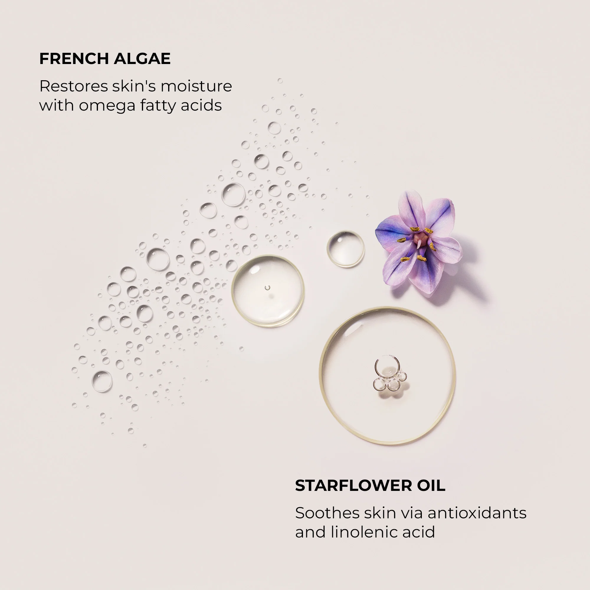 Crema de manos de almendras y coco - Tratamiento para manos
