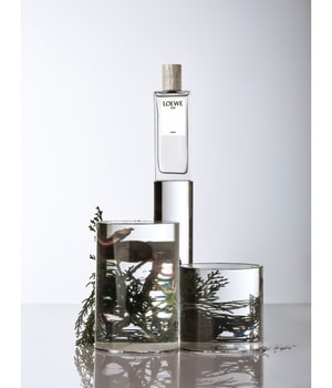 LOEWE 001 Man Eau de Parfum 100 ml