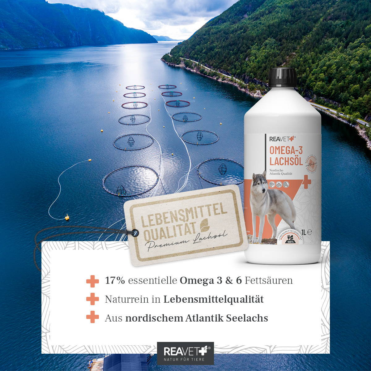 REAVET Ergänzungsfutter & Aufzucht REAVET Omega-3 Lachsöl 500ml
