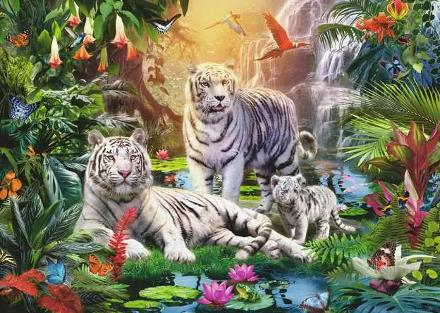 Puzzle 1000 Teile - Familie der Weißen Tiger