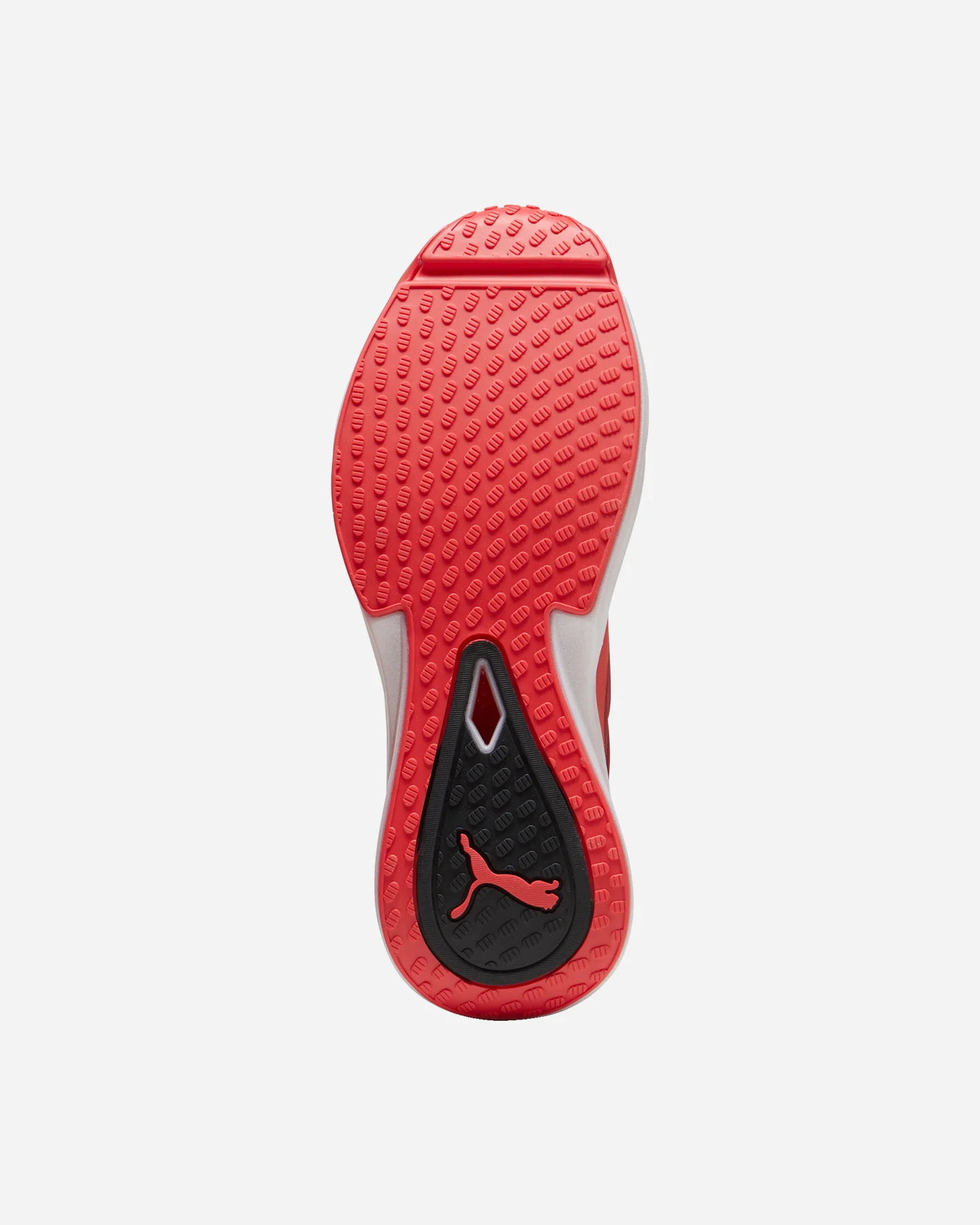 Scarpe Training Puma Pwr Nitro Sqd M 378687-05