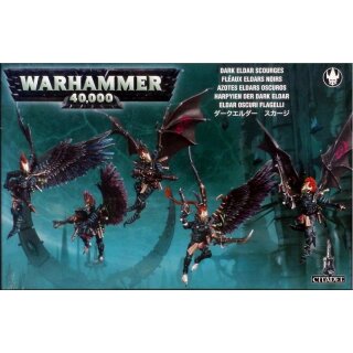 Drukhari Scourges (45-16)