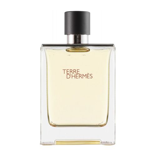 Hermès Terre D'Hermès Eau de Toilette 100 ml