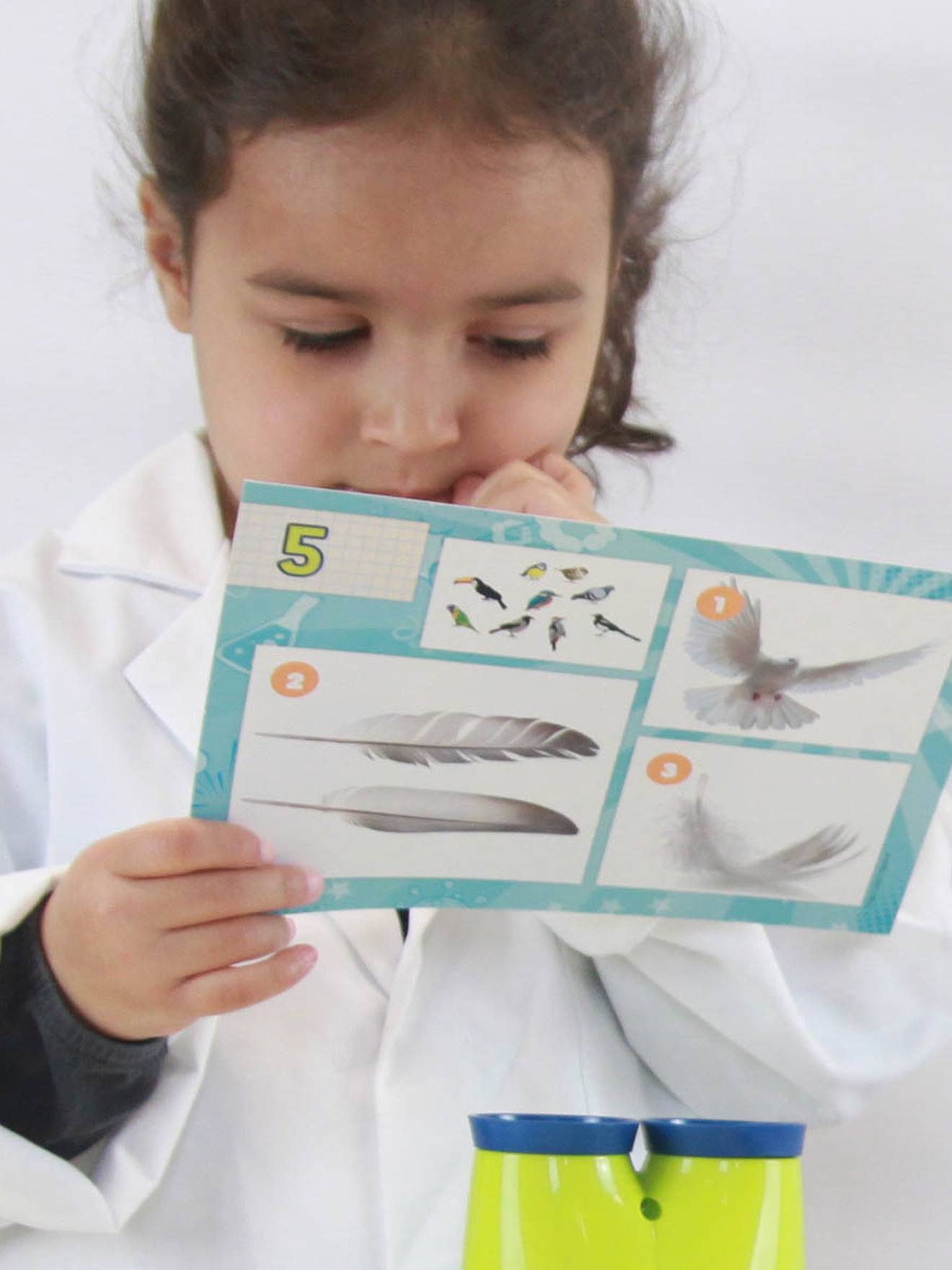 Mini Sciences