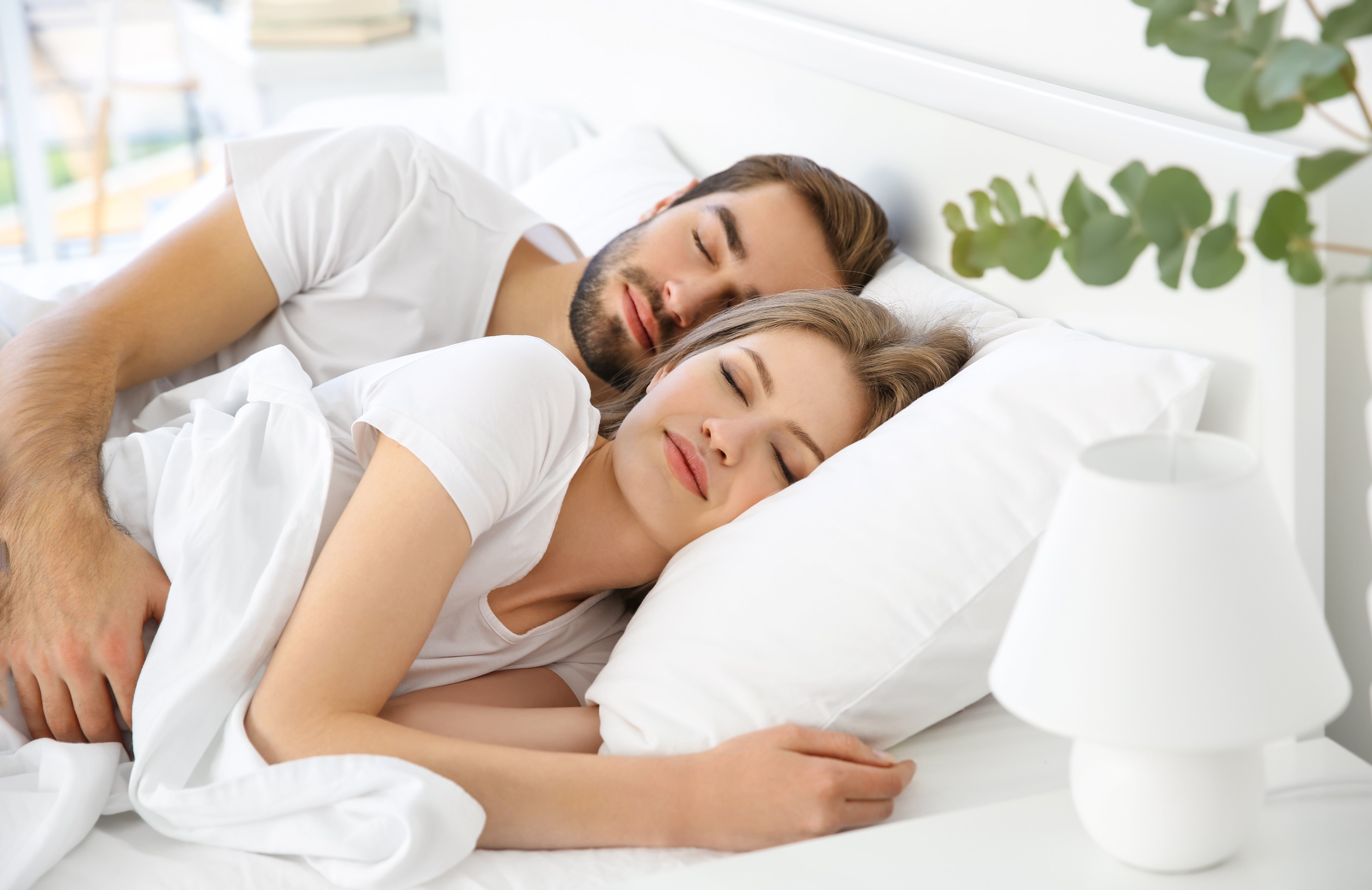 Bettdecke + Kopfkissen, Mikrofaser Bettdeckenset Bettdecke und Kissen Set Steppdecke Ganzjahresdecke mit Kissen 2-teilig oder 3-teilig Bettdecken VERSCHIEDENE GRÖßEN UND FÜLLUNGEN + Kopfkissen 80 x 80cm Füllung 900Gr, Welt der Träume, Füllung: 100% P
