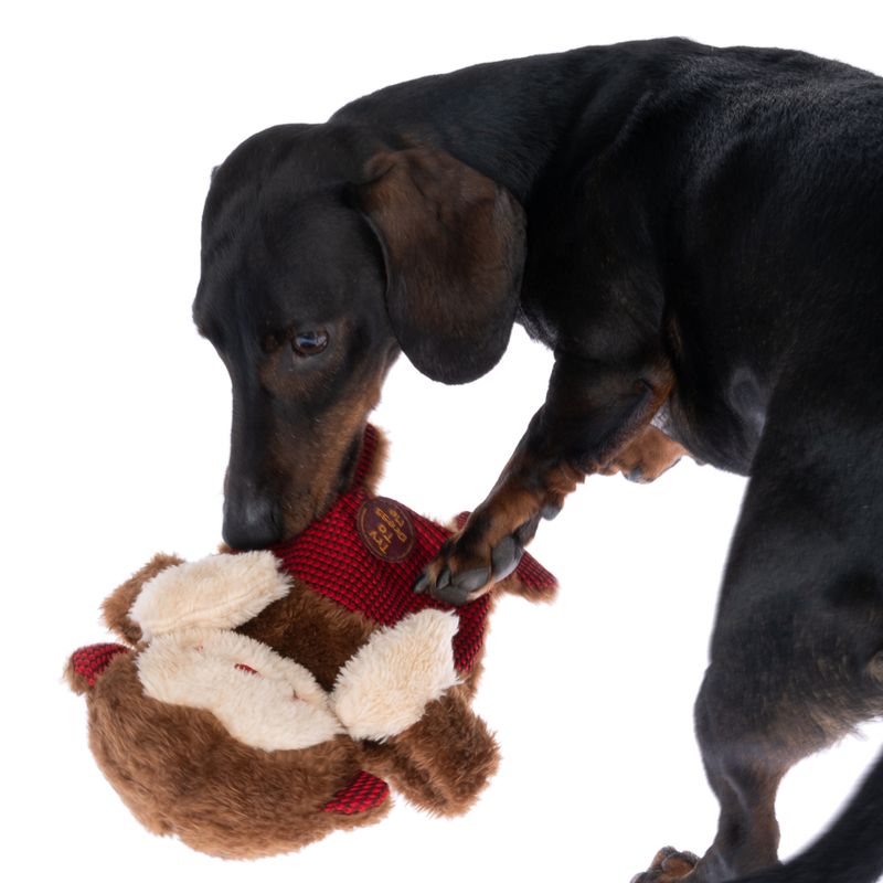 TIAKI Winkie Monkey Hundespielzeug zu TOP-Preisen