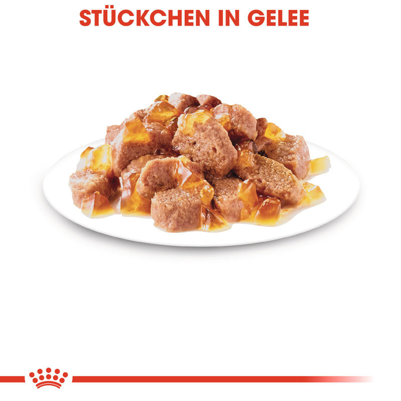 ROYAL CANIN Nassfutter ROYAL CANIN Sterilised 12x85g in Gelee