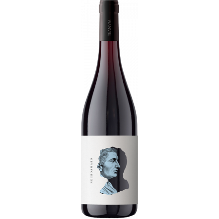 OTRE NEGROAMARO 2021 - CANTINE TEANUM
