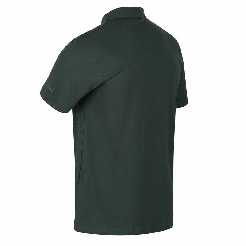 Regatta Sinton Poloshirt Herren