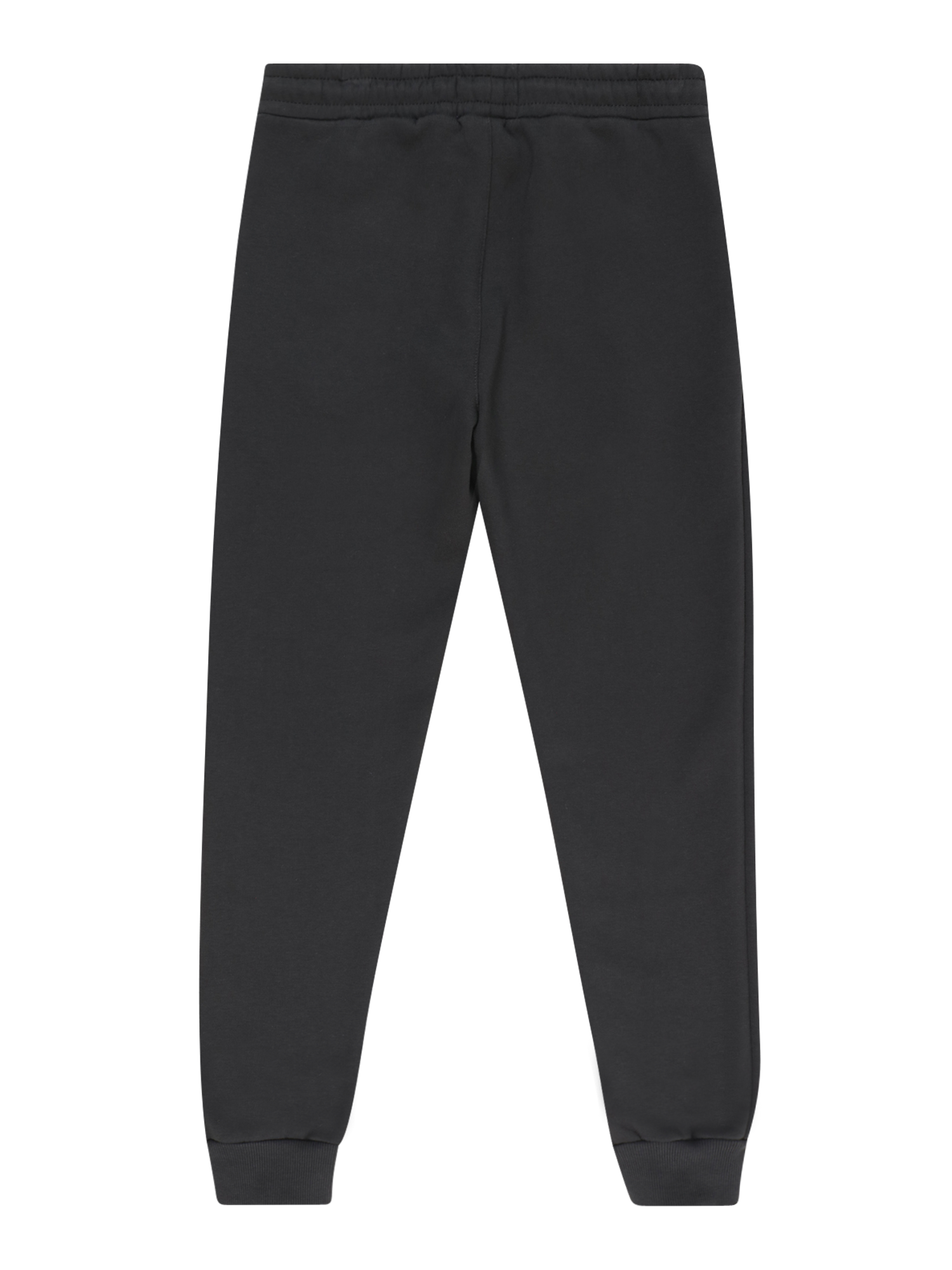 Tapered Pants