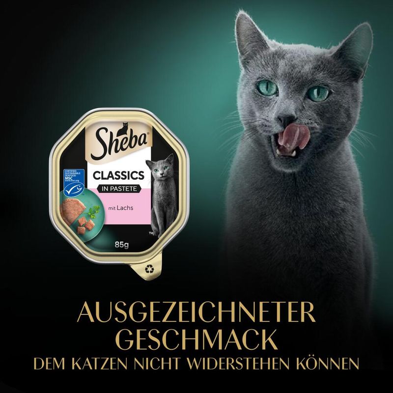 Sheba Schale 22 x 85 g zu TOP-Preisen