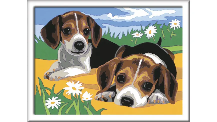 Ravensburger Beschäftigung - Malen nach Zahlen mit farbigen Motivlinien - Jack Russel Welpen