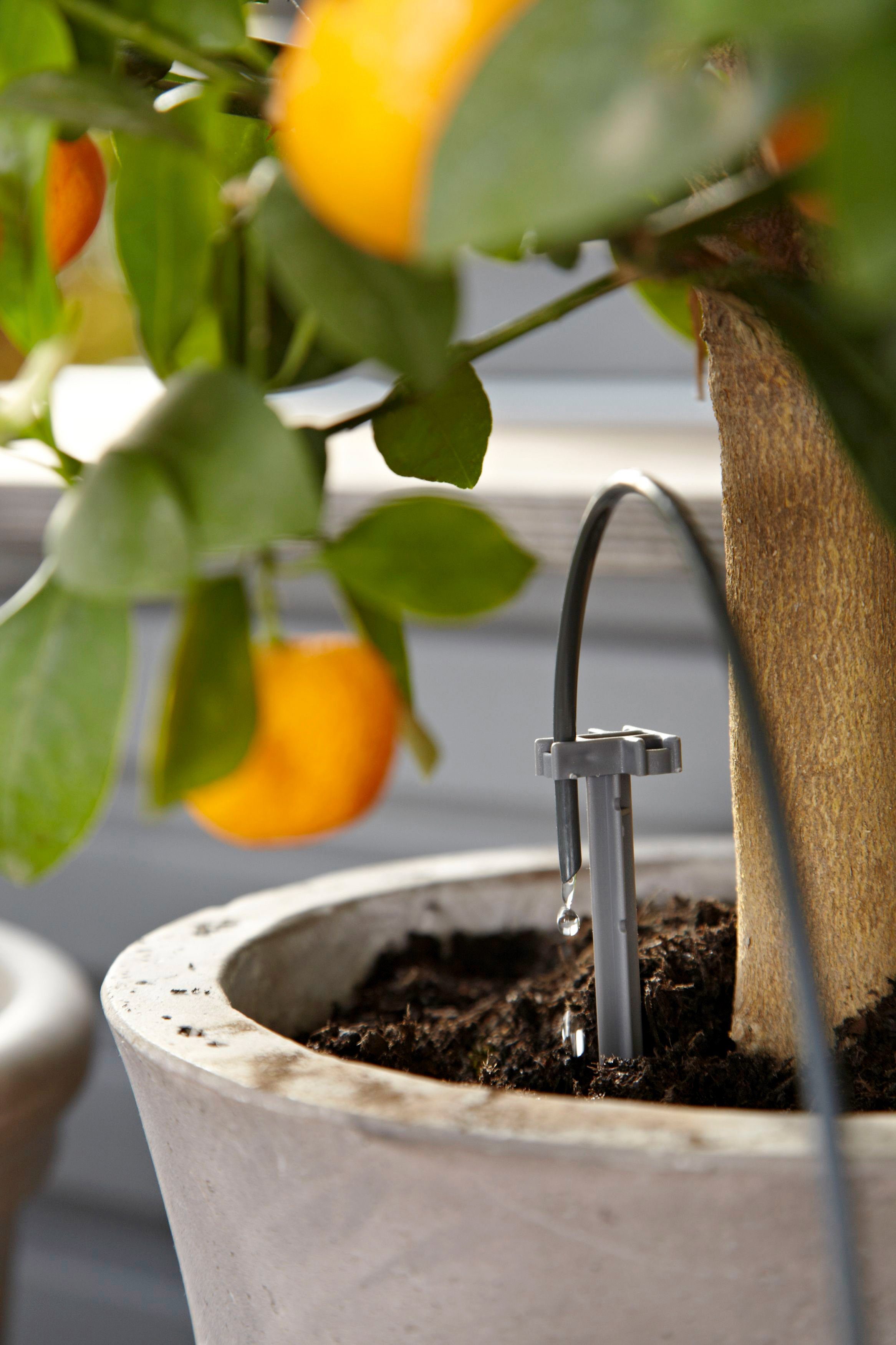 GARDENA Bewässerungssteuerung city gardening, 1265-20
