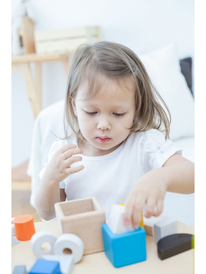 Plan Toys Essential Serie: Stapelwürfel ab 18 Monate günstig kaufen onesize