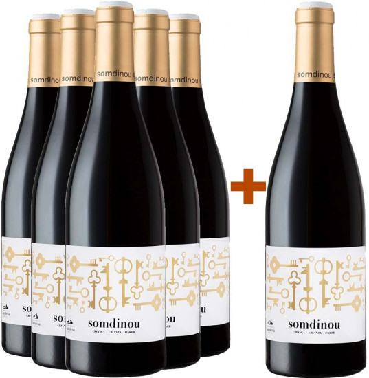 5+1 Somdinou Tinto Crianza Terra Alta DO - Cooperativa de Gandesa