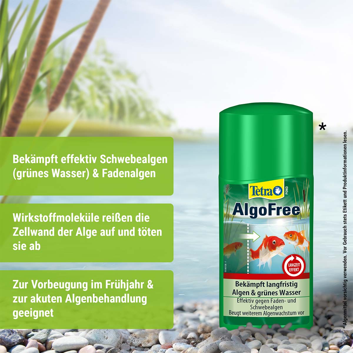 Tetra Pond AlgoFree günstig kaufen