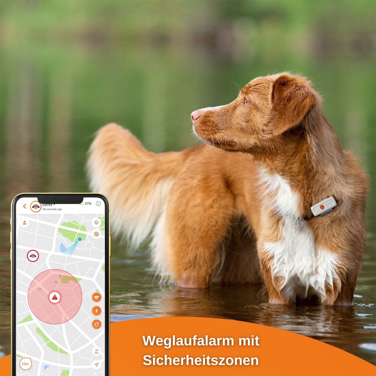 Weenect XS GPS Tracker für Hunde günstig kaufen bei ZooRoyal
