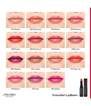 Shiseido ColorGel Lippenbalsam-2 g