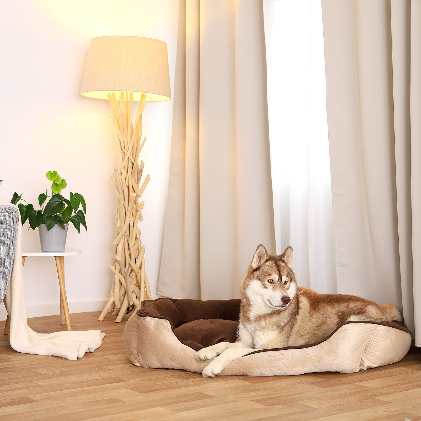 Lionto Hundebetten Lionto 2-in-1 Hundebett Hundekissen L
