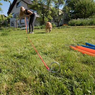 Agility Fun & Sport Slalom-Set