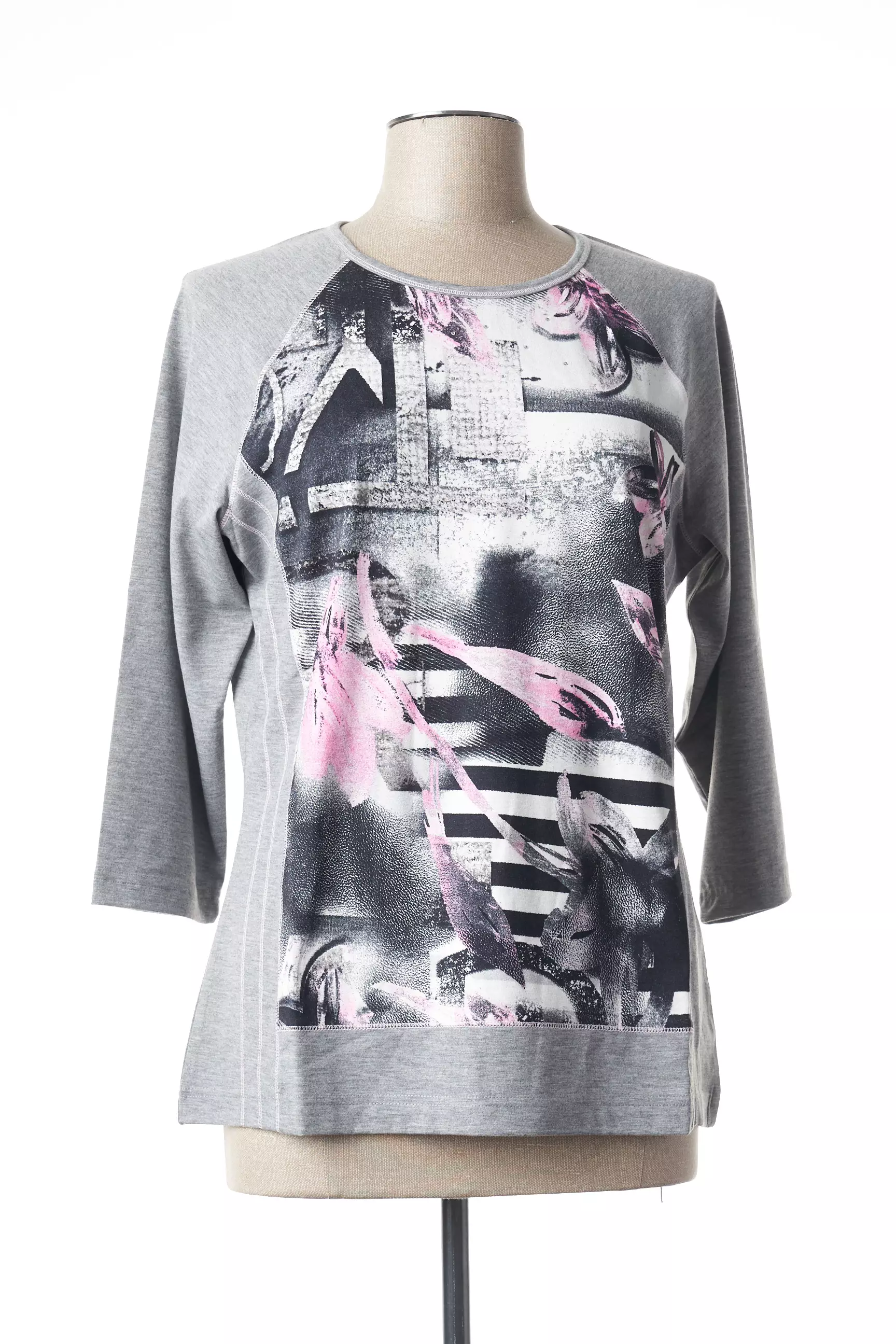 Griffon Tshirts Femme couleur gris