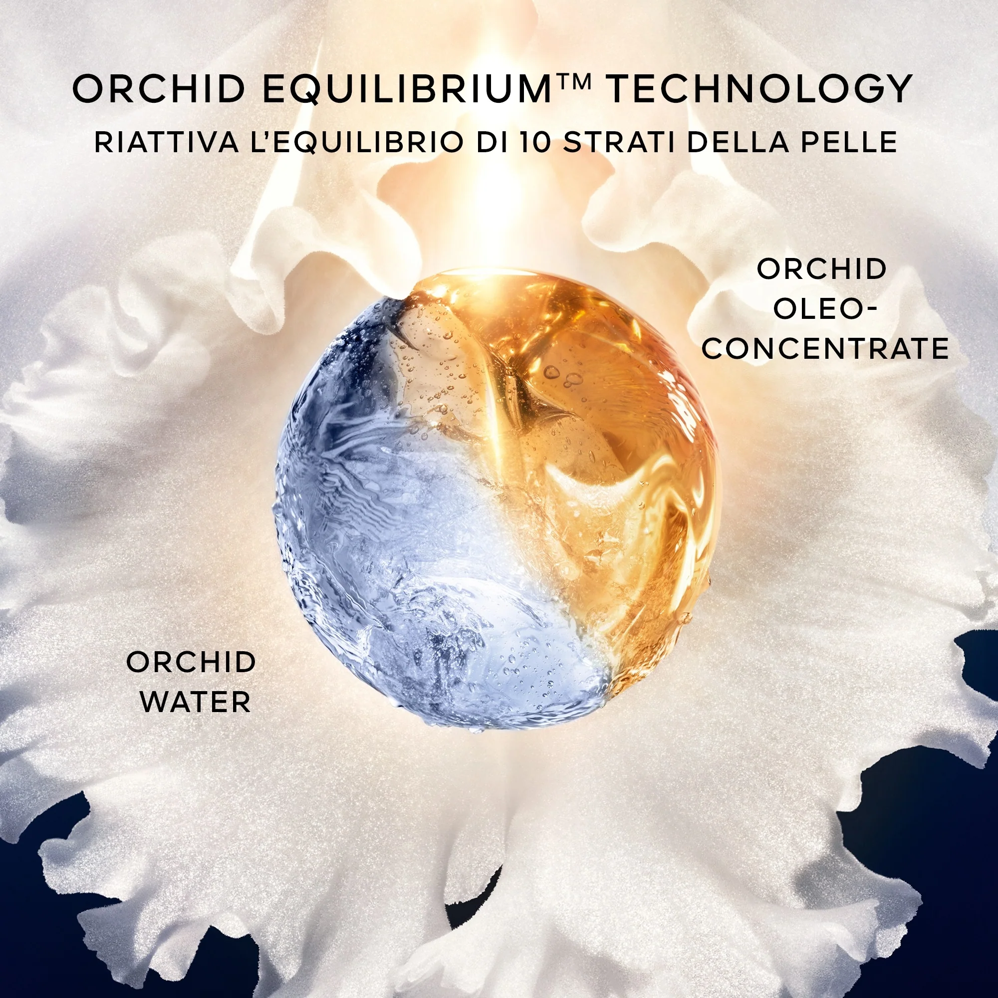 Orchidée Impériale Le Concentré Lotion-Essence - Serum za lice protiv bora