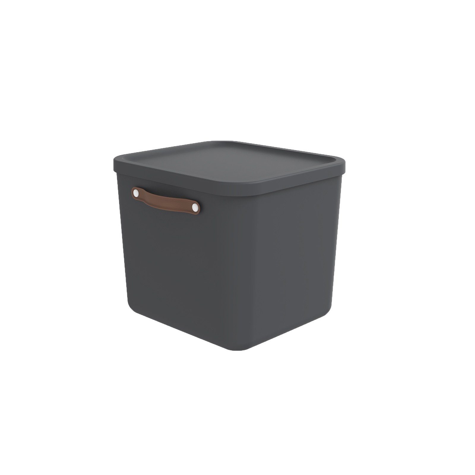 ROTHO Aufbewahrungsbox Aufbewahrungsbox mit Deckel 40 l MALOJA
