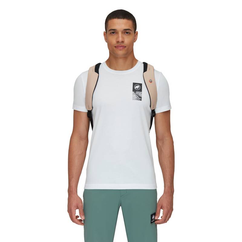 Mammut Seon Courier 20 Wanderrucksack