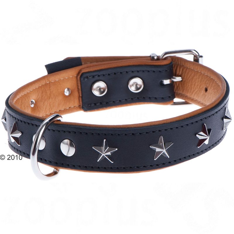 Heim Lederhalsband Stars zu TOP-Preisen