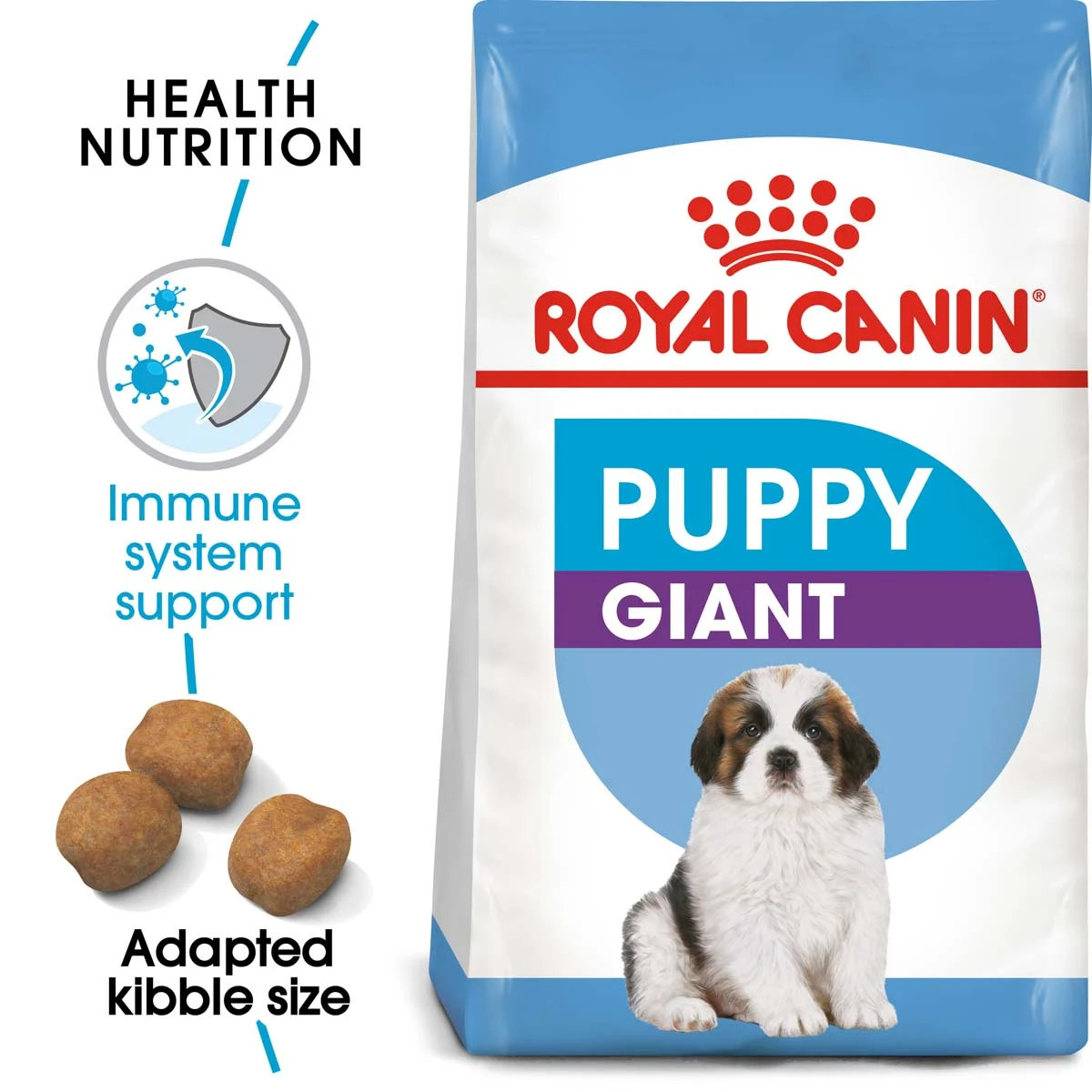 ROYAL CANIN Giant Puppy 3,5kg + Maxi Puppy in Soße 10x140g