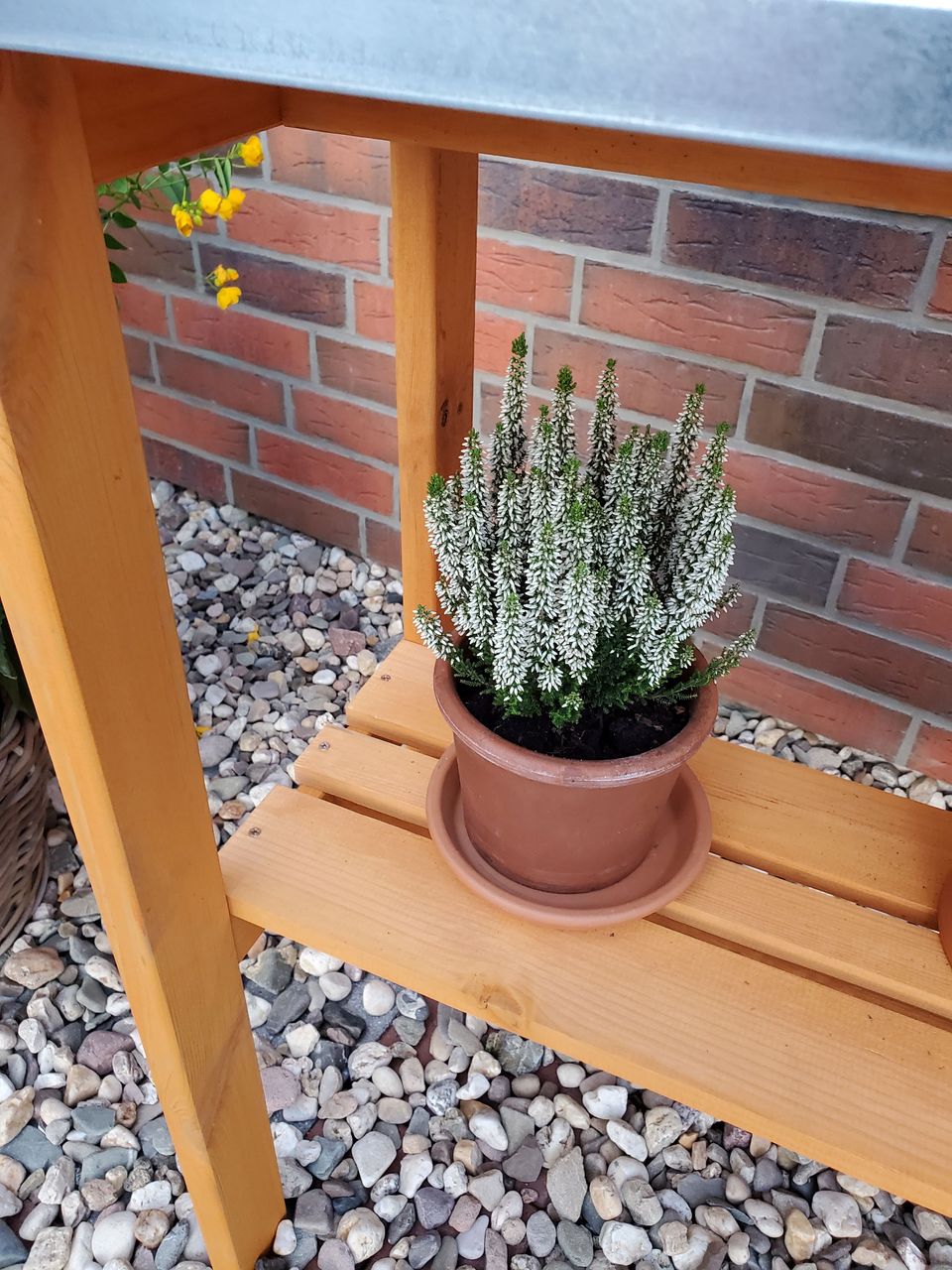 PROMEX Promadino Pflanztisch mit Ablage