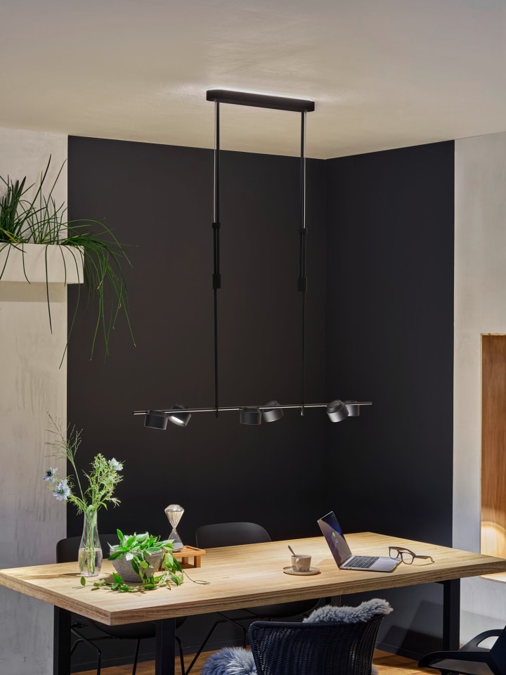 paulmann LED Pendelleuchte Puric Pane Effect günstig kaufen onesize