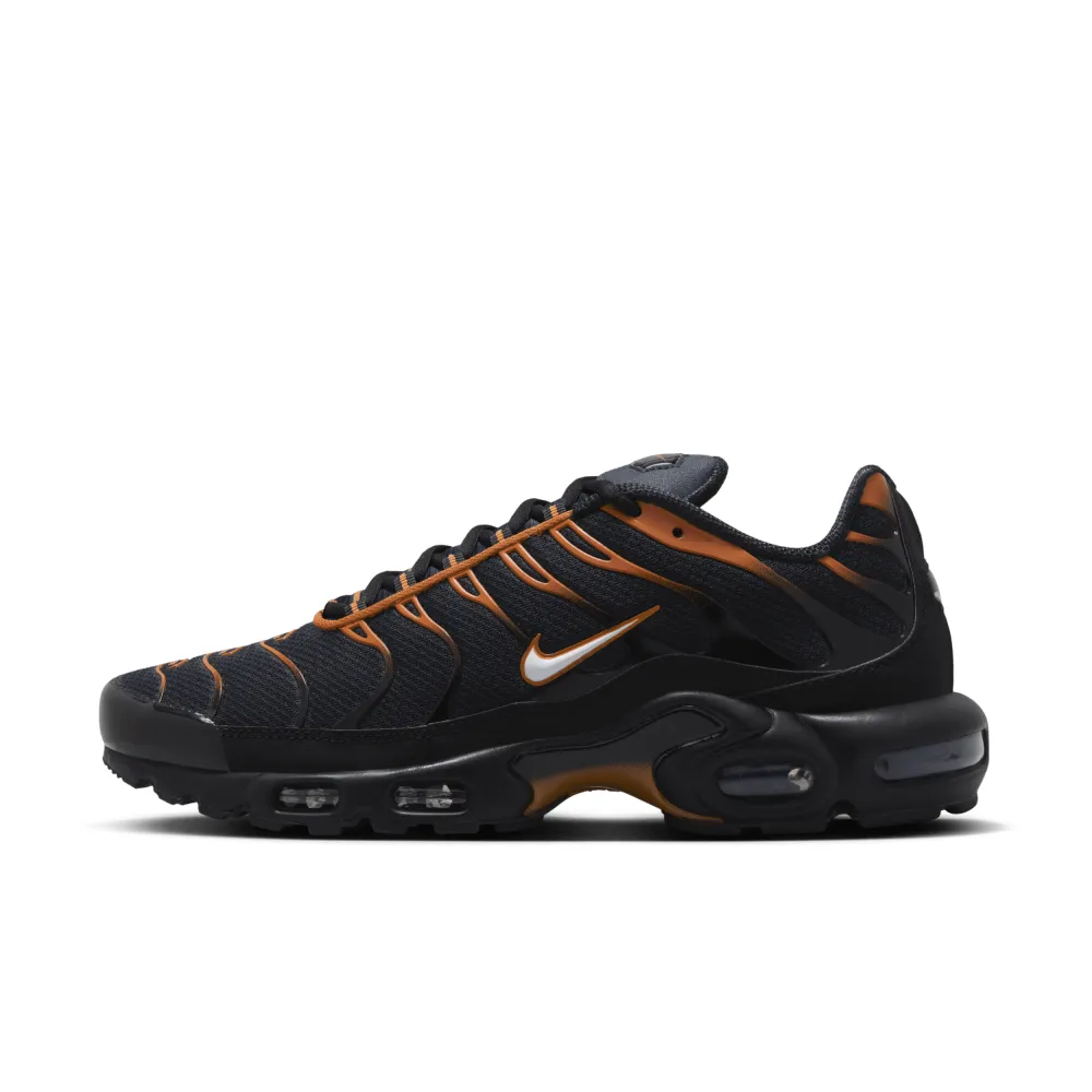 Nike Air Max Plus FN6949-400 / blau