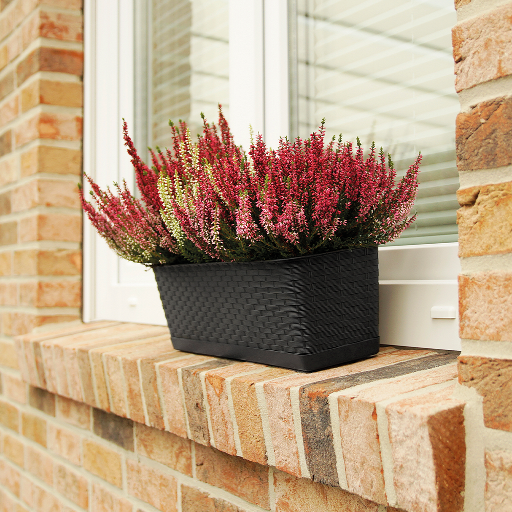 Protanic Powertec Garden Pflanzkasten 2er-Set